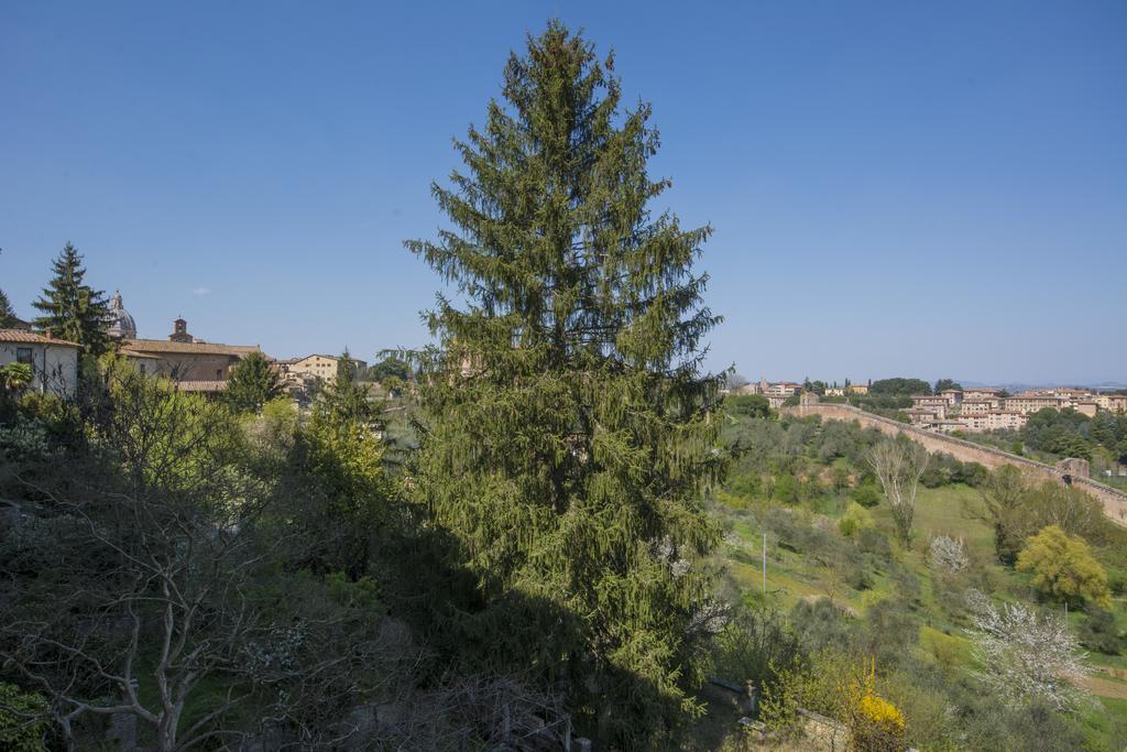 Pantaneto - Palazzo Bulgarini Alojamento de Acomodação e Pequeno-almoço Siena