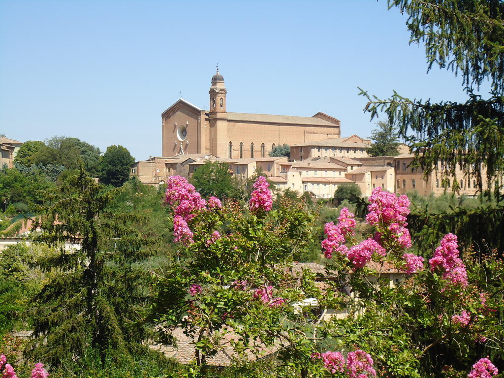 Pantaneto - Palazzo Bulgarini 2*