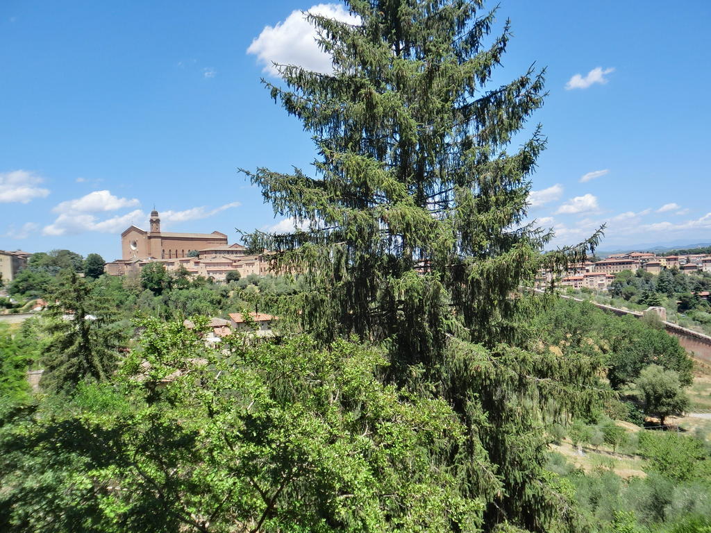 Pantaneto - Palazzo Bulgarini 2* Siena